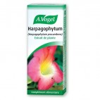 Harpagophytum - extrait de plante 50ml