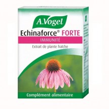 Echinaforce forte - extrait de plante fraîche - 30 comprimés