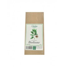 BADIANE FRUIT BIO 50GR