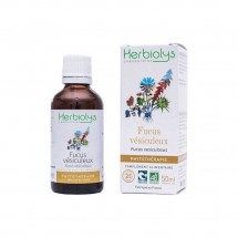FUCUS VESICULEUX 50ML