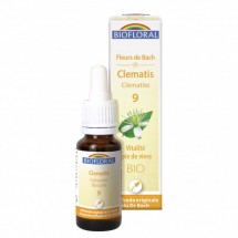 09 -Clematis - Clématite - 20 ml