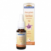 12 - Gentian - Gentiane - 20 ml