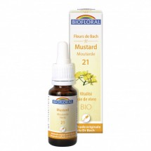 21 - Mustar - Moutarde - 20 ml