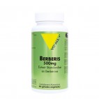 Berberis 500mg