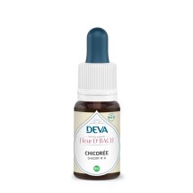 08 - Chicory - Chicorée - 15 ml