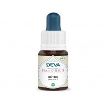 03 -Hetre - Beech - 15 ml