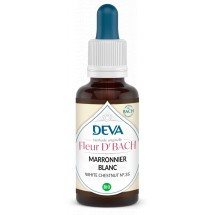 35 - White chesnut - Marronnier blanc - 15 ml