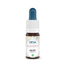 19 - Larch - Mélèze - 15 ml