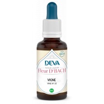 32 - Vine - Vigne - 15 ml